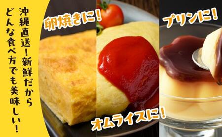 卵の黄身が掴めるほどの新鮮さ 美ら卵養鶏場の卵 20個【6ヶ月定期便】