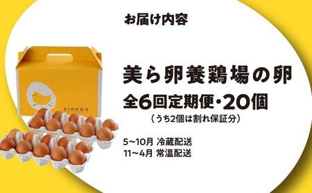 卵の黄身が掴めるほどの新鮮さ 美ら卵養鶏場の卵 20個【6ヶ月定期便】