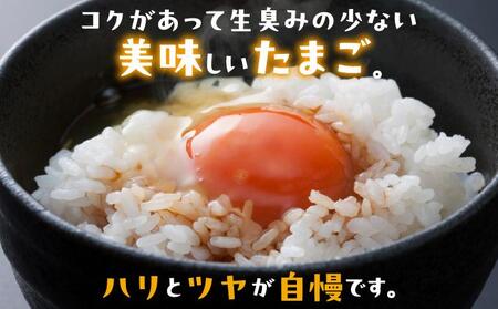 卵の黄身が掴めるほどの新鮮さ 美ら卵養鶏場の卵 60個【6ヶ月定期便】