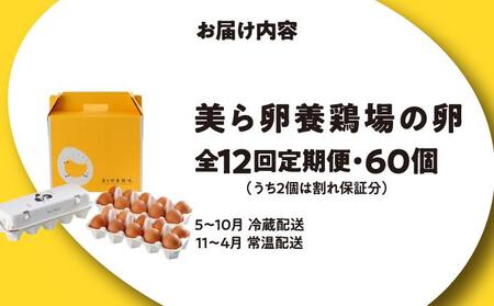 卵の黄身が掴めるほどの新鮮さ 美ら卵養鶏場の卵 60個【12ヶ月定期便】