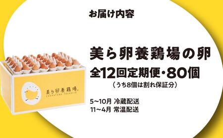 卵の黄身が掴めるほどの新鮮さ 美ら卵養鶏場の卵 80個【12ヶ月定期便】
