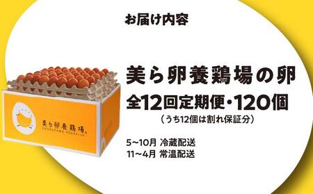 卵の黄身が掴めるほどの新鮮さ 美ら卵養鶏場の卵 120個【12ヶ月定期便】