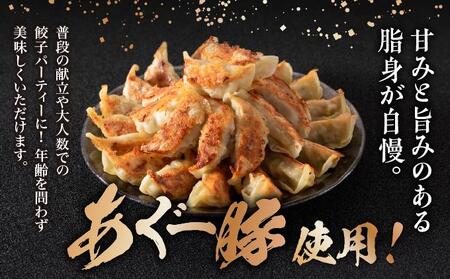 【美ら島あぐ~】餃子(80個入り/4パック×20個入り)