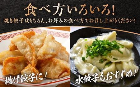 【美ら島あぐ~】餃子(80個入り/4パック×20個入り)