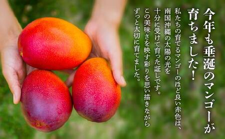 ＜先行予約・数量限定＞アップルマンゴー 秀品（1kg）KM001