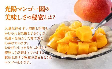 ＜先行予約・数量限定＞アップルマンゴー 秀品（1kg）KM001