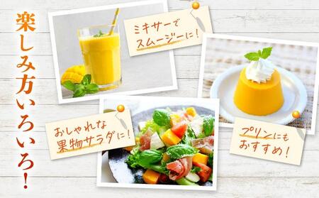 ＜先行予約・数量限定＞アップルマンゴー 秀品（1kg）KM001