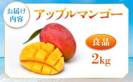 ＜先行予約・数量限定＞アップルマンゴー 良品（2kg）|マンゴー 限定 良品 沖縄県 南城市 2kg 冷蔵 予約 先行受付 アップルマンゴー 送料無料 KM004