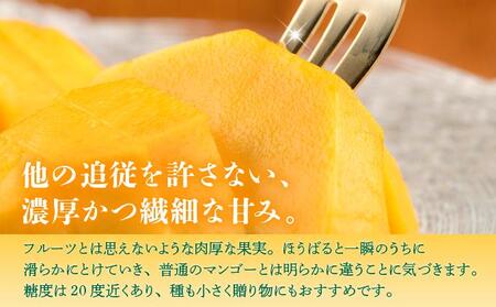 ＜先行予約・数量限定＞キーツマンゴー 秀品（1kg）KM009