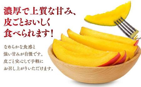 皮ごと味わえる奇跡のプレミアムアップルマンゴー2kg(約4～6玉)【沖縄南城産・家庭用】
