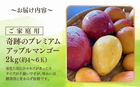 皮ごと味わえる奇跡のプレミアムアップルマンゴー2kg(約4～6玉)【沖縄南城産・家庭用】