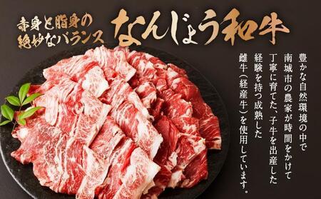  和牛切り落とし 200g×8パック なんじょう和牛 合計400g   