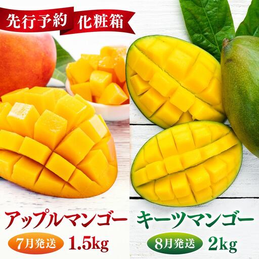 【先行予約】＜8月発送＞アップルマンゴー1,5kg　化粧箱＆＜9月発送＞キーツマンゴー2kg　化粧箱   I  キーツマンゴー きーつまんごー マンゴー まんごー トロピカルフルーツ フルーツ 贈答用 アップルマンゴー あっぷるまんごー 完熟 ギフト  沖縄県 南城市