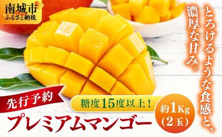 【先行予約】糖度15度以上！最高級プレミアムマンゴー約1kg（2玉）   I  マンゴー まんごー トロピカルフルーツ フルーツ ギフト 最高級 プレミアム1000g 1kg  沖縄県 南城市