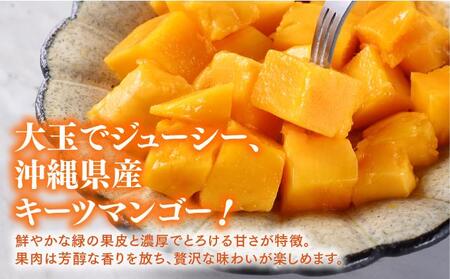 ご家庭用キーツマンゴー 約2kg. 白箱
