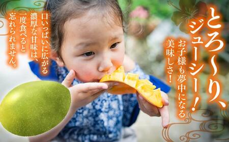 ご家庭用キーツマンゴー 約2kg. 白箱