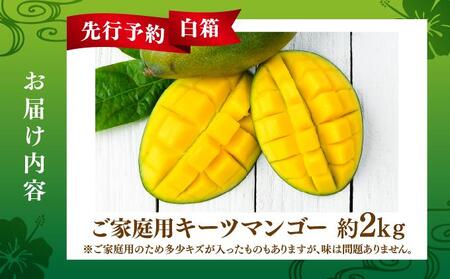 ご家庭用キーツマンゴー 約2kg. 白箱