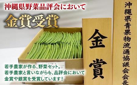 【先行予約】若手農家が作る南城野菜セット