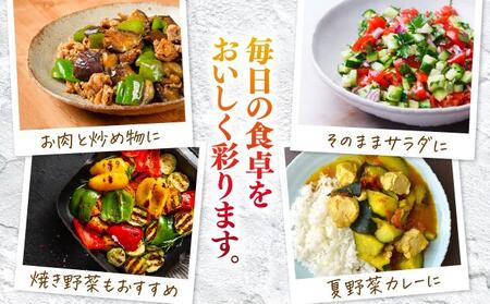 【先行予約】若手農家が作る南城野菜セット