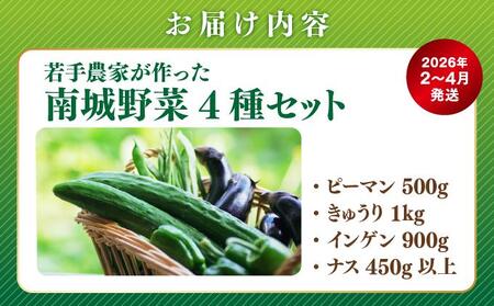 【先行予約】若手農家が作る南城野菜セット