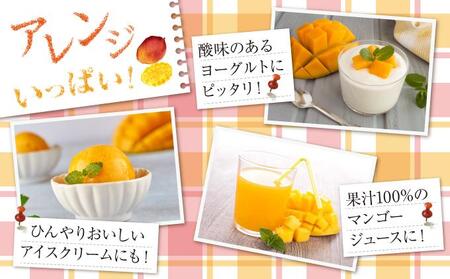 (先行受付)【2026年発送】アップルマンゴー 南城市 約2kg (4～5玉)