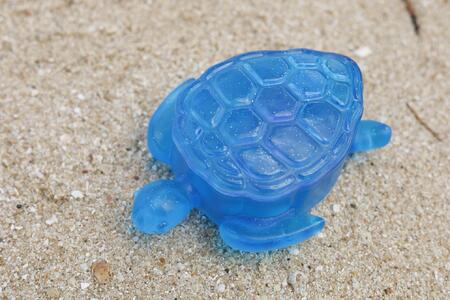 カメボックス[DP21]