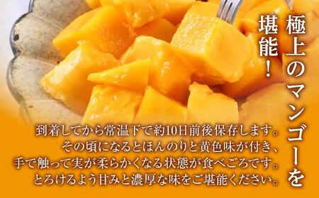 (先行受付)【2026年発送】キーツマンゴー 南城市 約1.5kg (1～2玉)