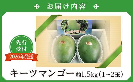 (先行受付)【2026年発送】キーツマンゴー 南城市 約1.5kg (1～2玉)