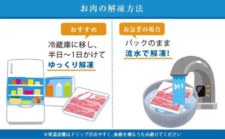 【1月発送】沖縄あぐー豚 しゃぶしゃぶ食べ比べまんぷくセット(2.8kg)【AG04VC01】