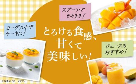 【2026年発送】高平農園の完熟アップルマンゴー【家庭用】 1kg(2~3玉)