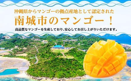 キーツマンゴー1kg 贈答用