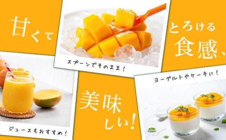 キーツマンゴー2kg 贈答用