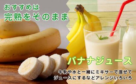 アップルバナナ2kg I アップルバナナ 2kg バナナ フルーツ 果物 沖縄県 南城市