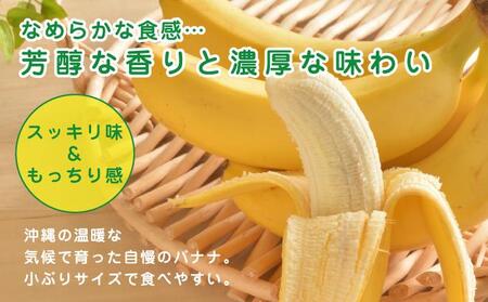 アップルバナナ4kg I アップルバナナ 4kg バナナ フルーツ 果物 沖縄県 南城市