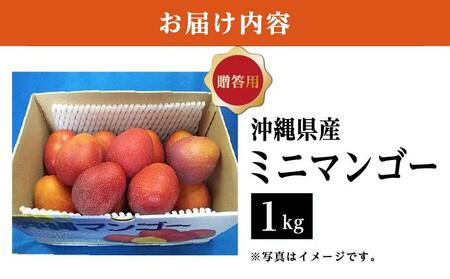 ミニマンゴー1kg 贈答用