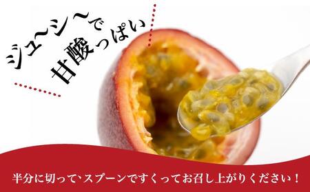 パッションフルーツ1kg 贈答用 I パッションフルーツ 1kg 贈答 用 フルーツ 果物 ギフト 沖縄県 南城市
