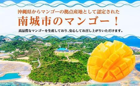 マンゴー1.5kg　贈答用   I  マンゴー 1.5kg 贈答 用 フルーツ 果物 ギフト 高級  沖縄県 南城市
