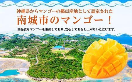 マンゴー2kg　贈答用   I  マンゴー 2kg 贈答 用 フルーツ 果物 ギフト 大容量  沖縄県 南城市