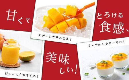 マンゴー2kg　贈答用   I  マンゴー 2kg 贈答 用 フルーツ 果物 ギフト 大容量  沖縄県 南城市