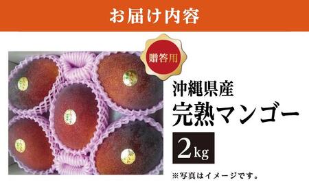 マンゴー2kg　贈答用   I  マンゴー 2kg 贈答 用 フルーツ 果物 ギフト 大容量  沖縄県 南城市