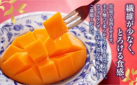 【2026年発送】＜優品＞幻のキーツマンゴー約1kg（化粧箱）1玉～2玉