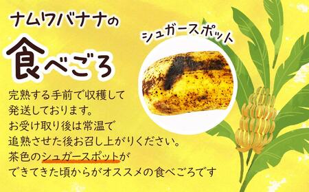 バナナ 南城市 ナムワバナナ 2kg