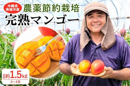 2024年発送】沖縄県南城市産「完熟マンゴー」約1.5kg（3～4玉）◇ギフト／家庭用◇ 農家直送 農薬節約栽培 | 沖縄県南城市 |  ふるさと納税サイト「ふるなび」