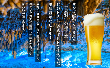 【2ヶ月定期便】沖縄サンゴビール 定番3種 12本セット