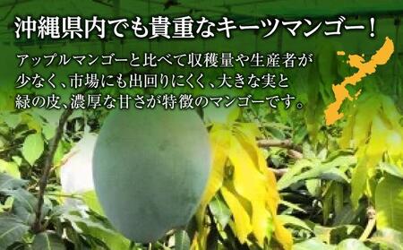 (先行受付)【2026年発送】キーツマンゴー 南城市 約2kg (2～3玉)