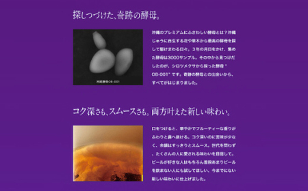 【沖縄県共通返礼品・オリオンビール】オリオン ザ・プレミアム(350ml×24本)【1577594】