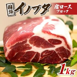 国頭イノブタ 肩ロース(ブロック) 1kg【配送不可地域：離島】【1578855】