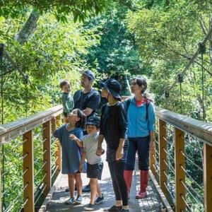 【宿泊券・2泊3日スタンダードプラン2名様】やんばるホテル南溟森室(竈門ご飯体験、ネイチャーガイド)【1580123】