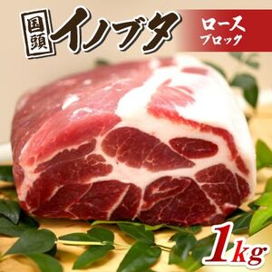 国頭イノブタ ロース(ブロック) 1kg【配送不可地域：離島】【1580290】