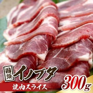旨み凝縮した 国頭イノブタ 焼肉スライス 300g【配送不可地域：離島】【1580325】